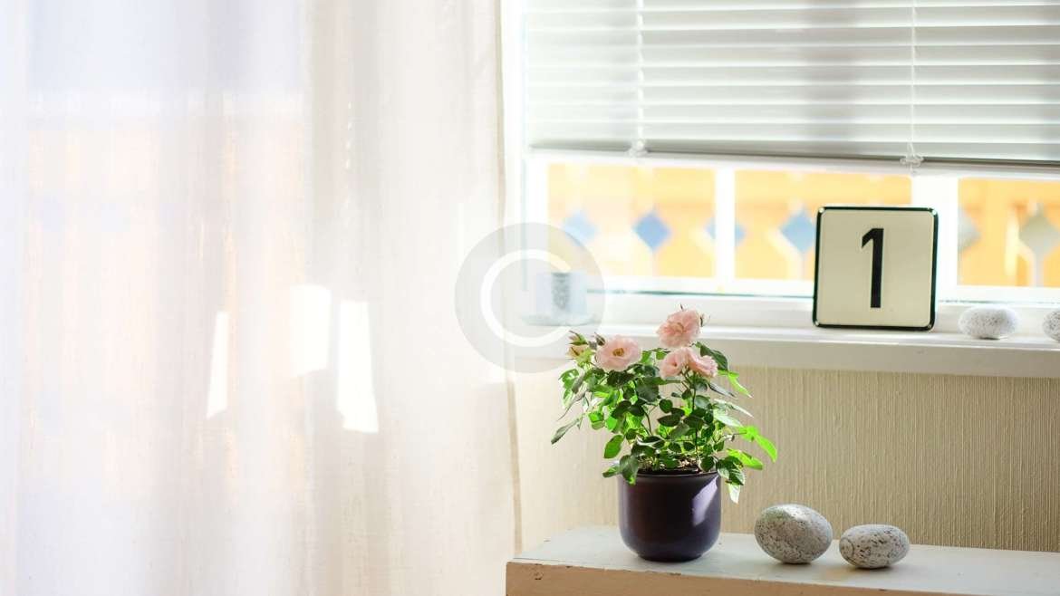 Cortinas y Persianas